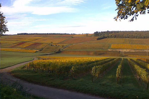 Cycle touring Burgundy, France